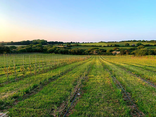 The Grower Blog