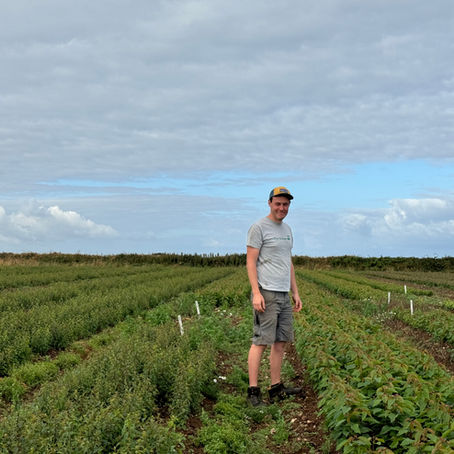 Meet the Team Series: Chris King, Managing Director at The Grower