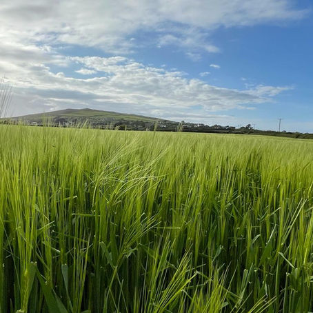 Presingoll Farm Wins FWAG Conservation Award!