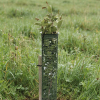 Tubex Tree Guard Mesh Tube